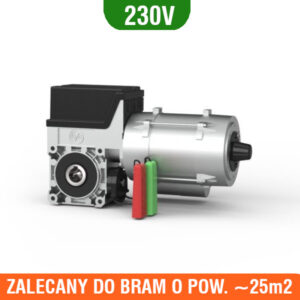 silnik SZYBKIE ROZRYGLOWANIE